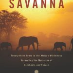 Books Set in Africa - Book Girls' Guide