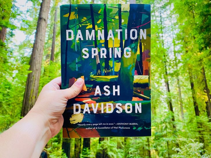Damnation Spring book cover held in front of redwood trees