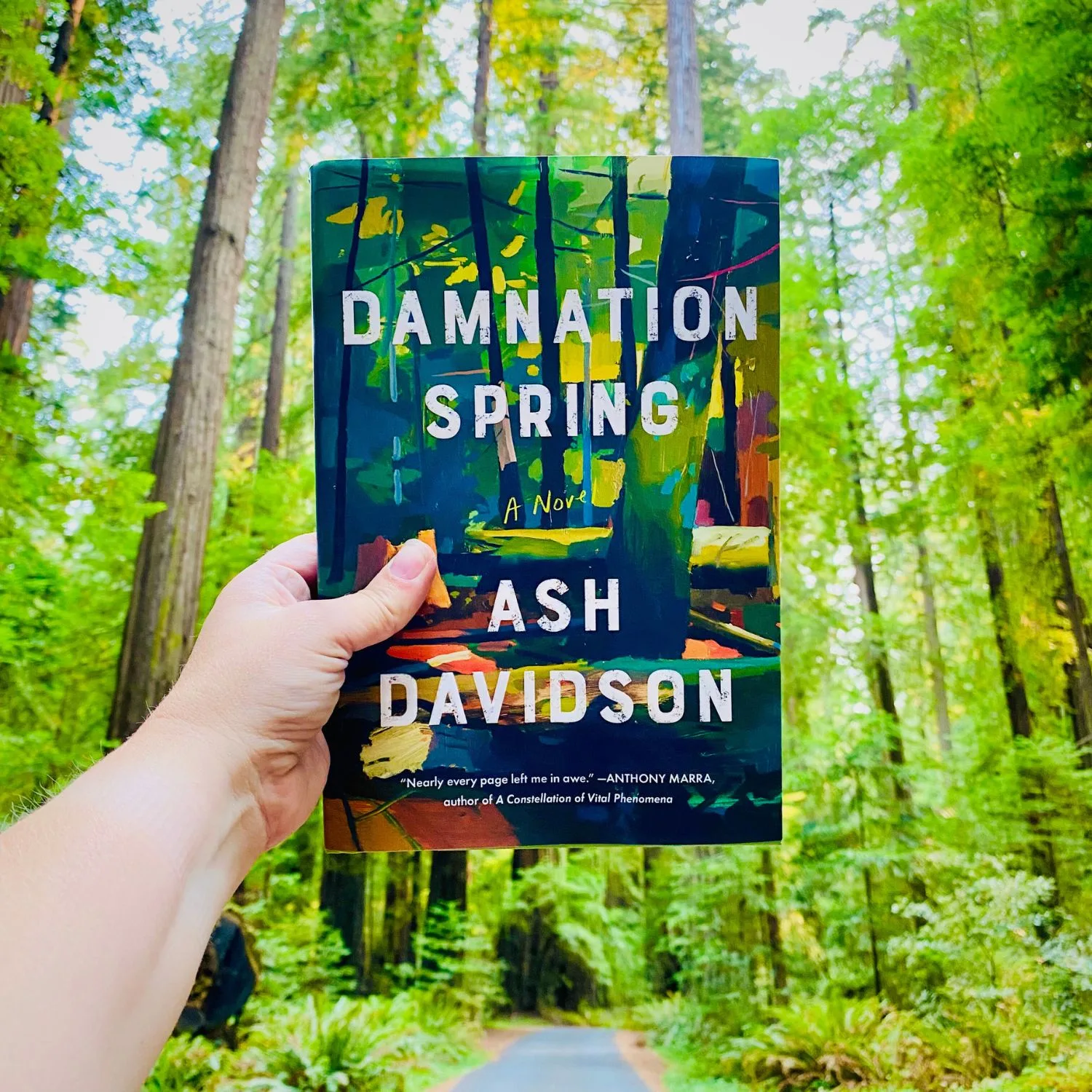 Damnation Spring book cover held in front of redwood trees