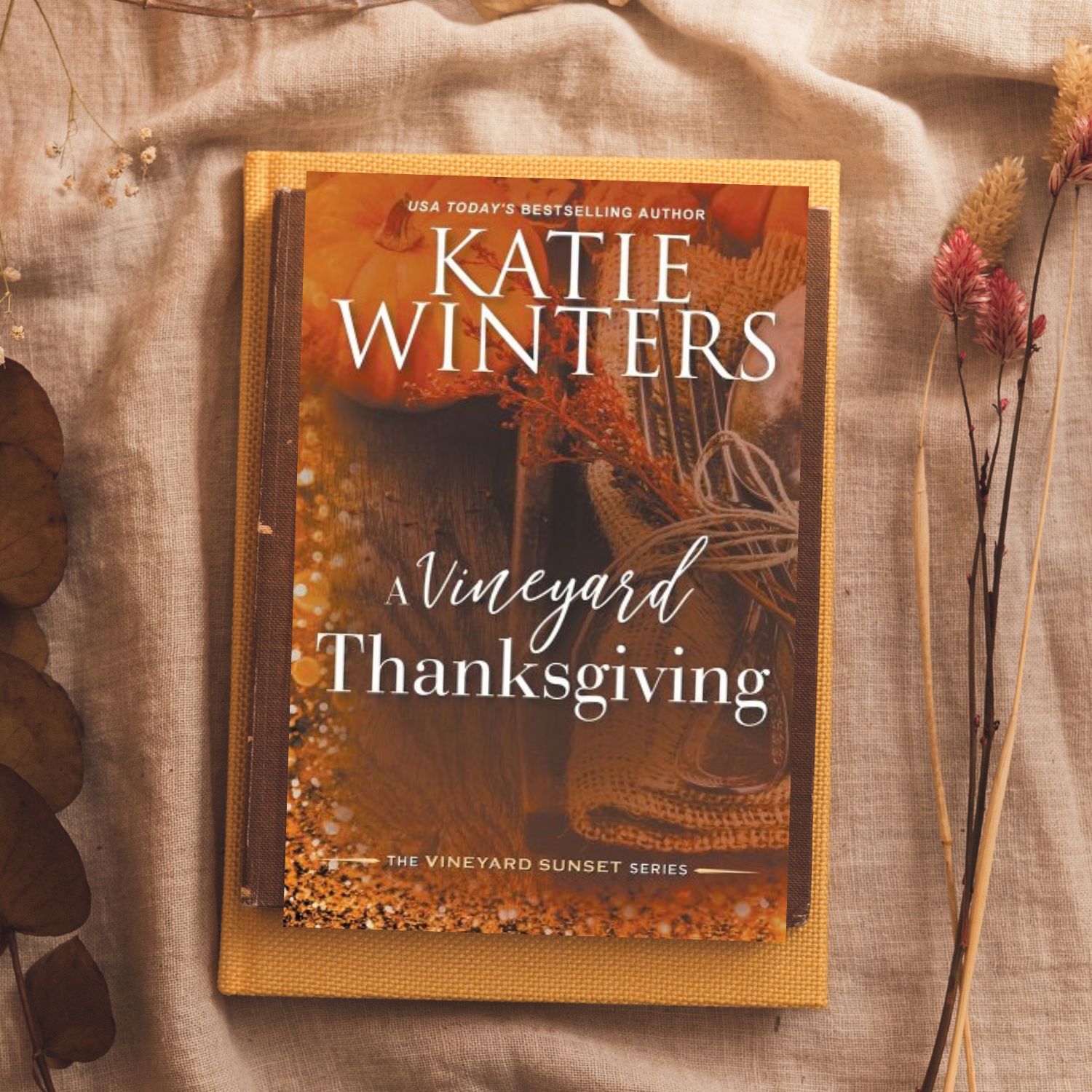 Vineyard Thanksgiving Book Cover