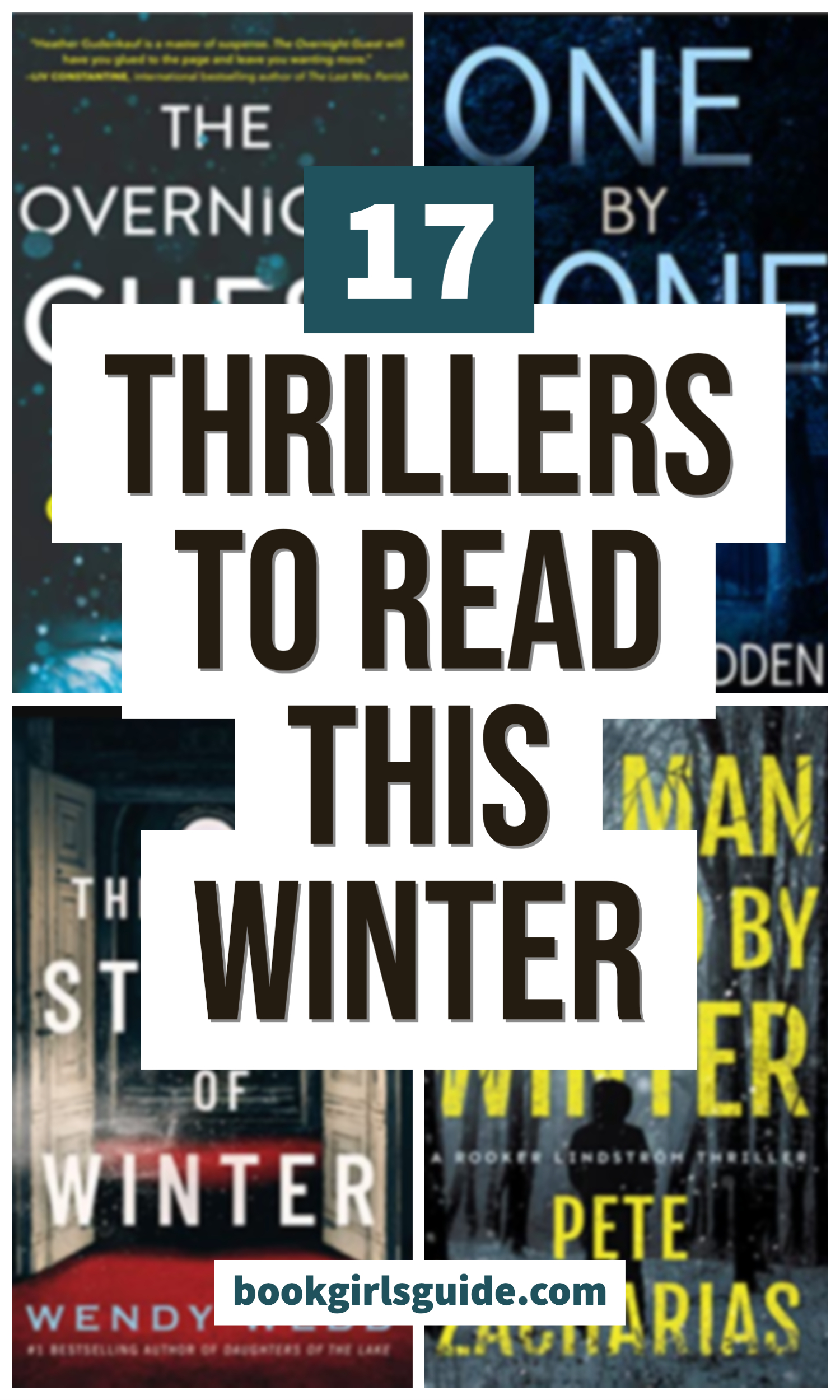 17+ Winter Thriller Books to Read in 2022