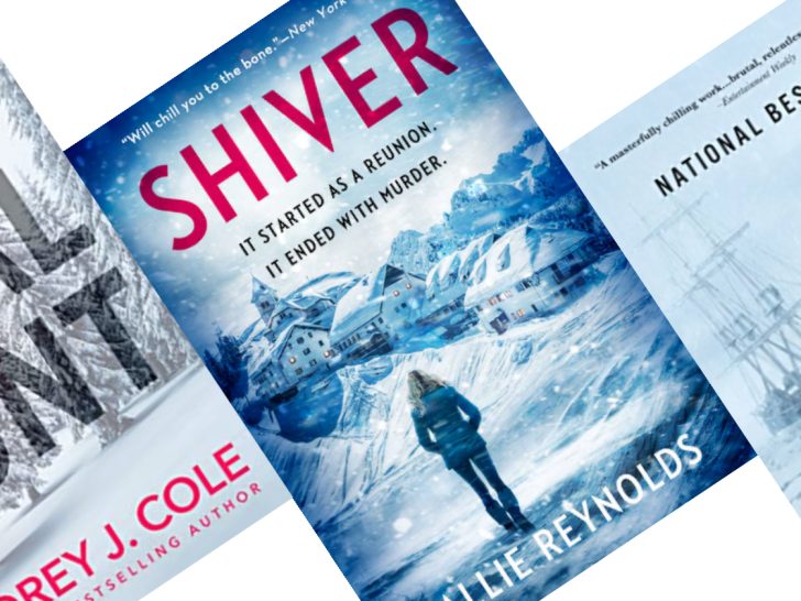 Three snowy blue slanted book covers