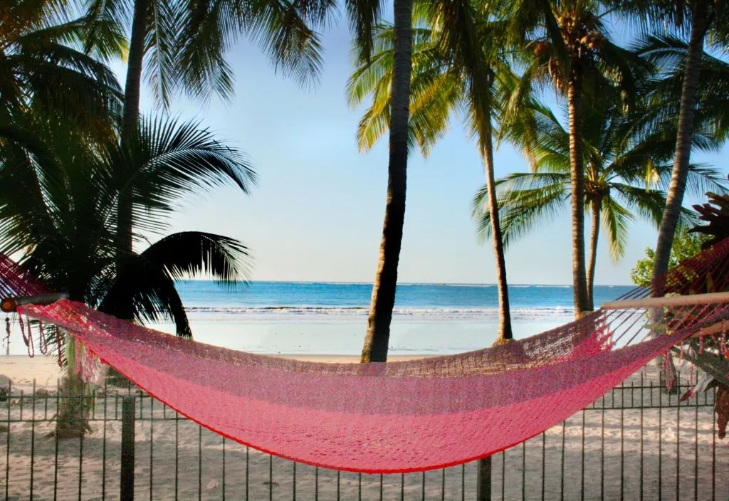 Pink Hammock in front of palm trees and ocean