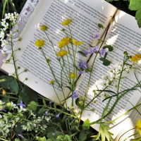 gardening novels