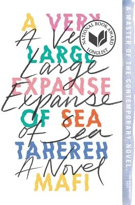 A Very Large Expanse of Sea Book Cover