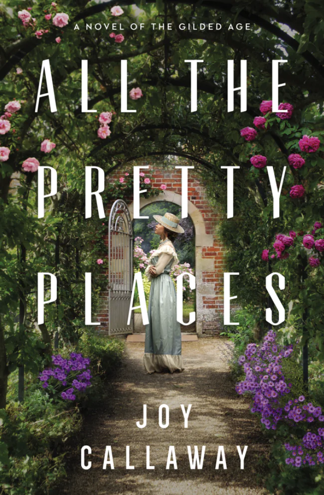 All the Pretty Places book cover
