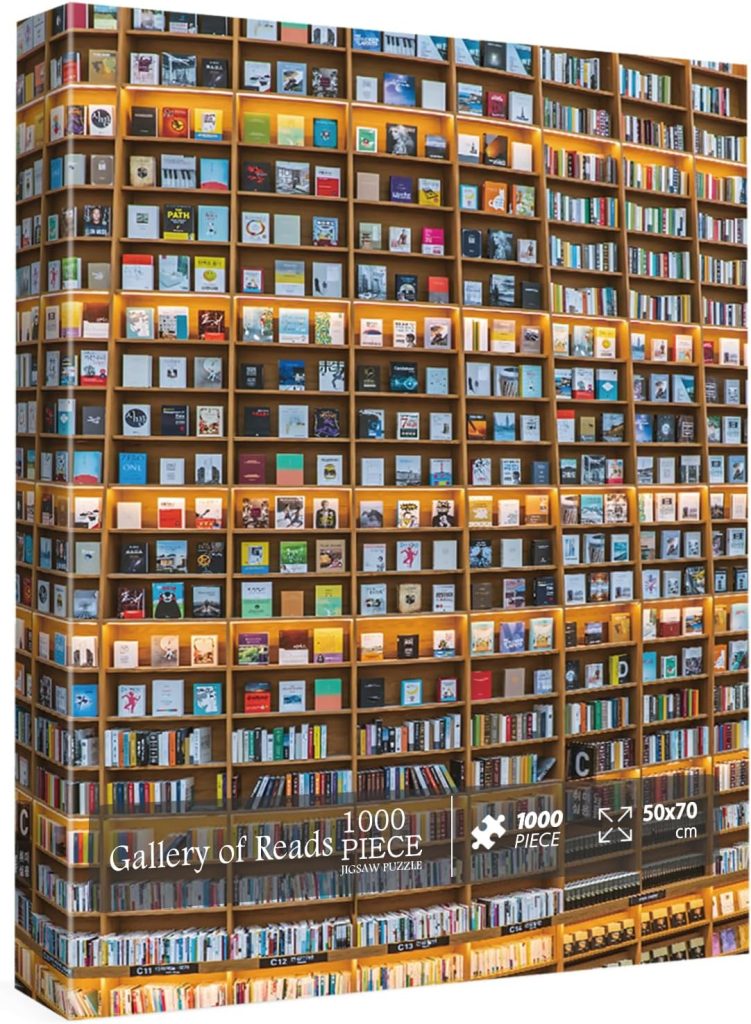 Giant wall of books puzzle