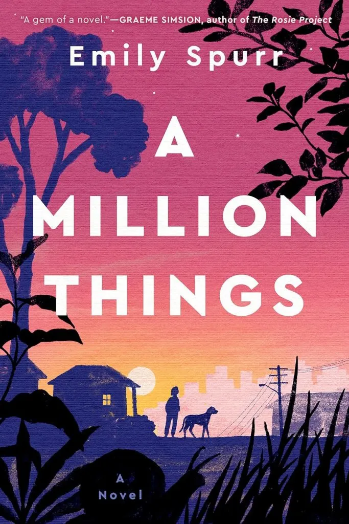 Million Things book cover