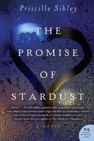 The Promise of Stardust book cover