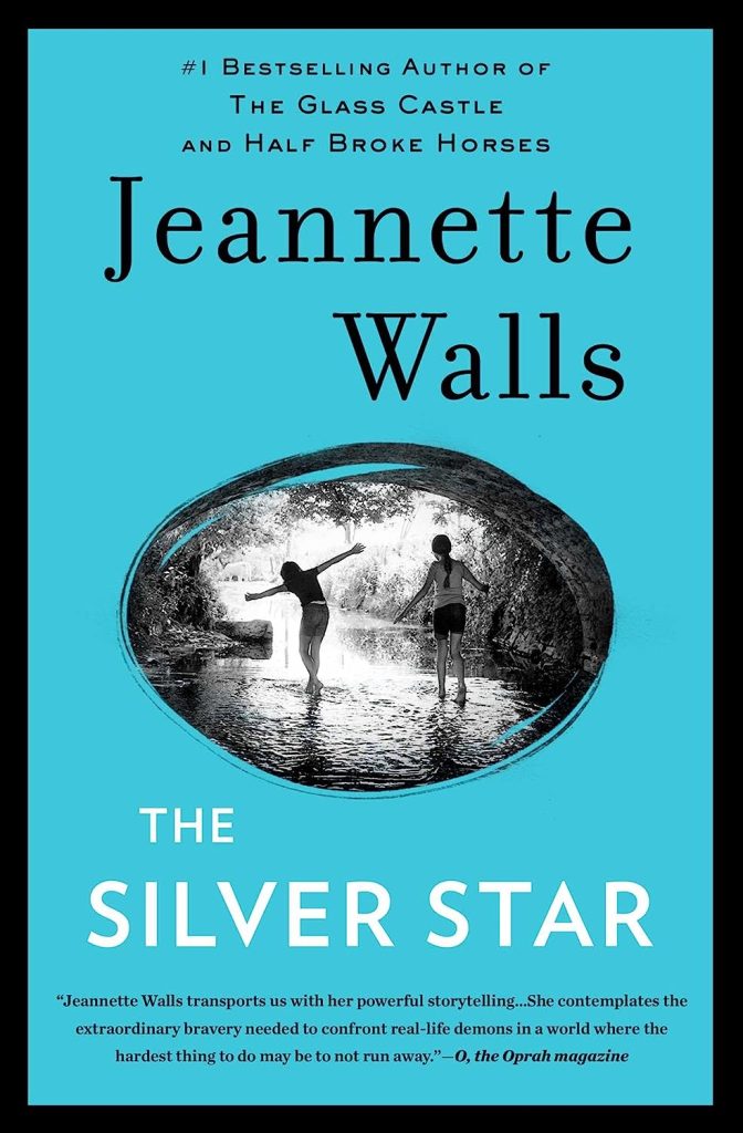 Silver Star book cover