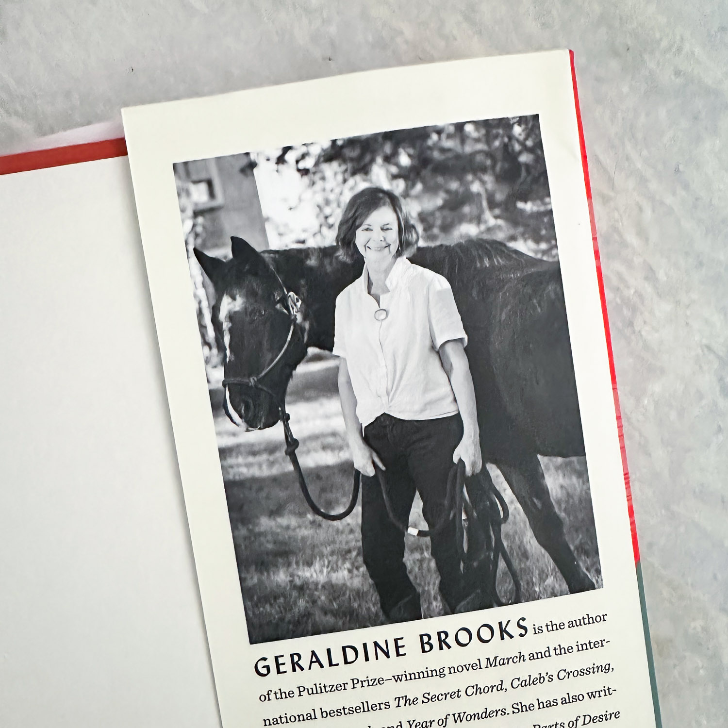 Horse by Geraldine Brooks Book Club Questions & Guide