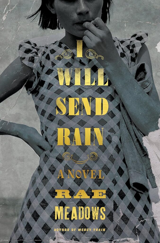 I Will Send Rain book cover