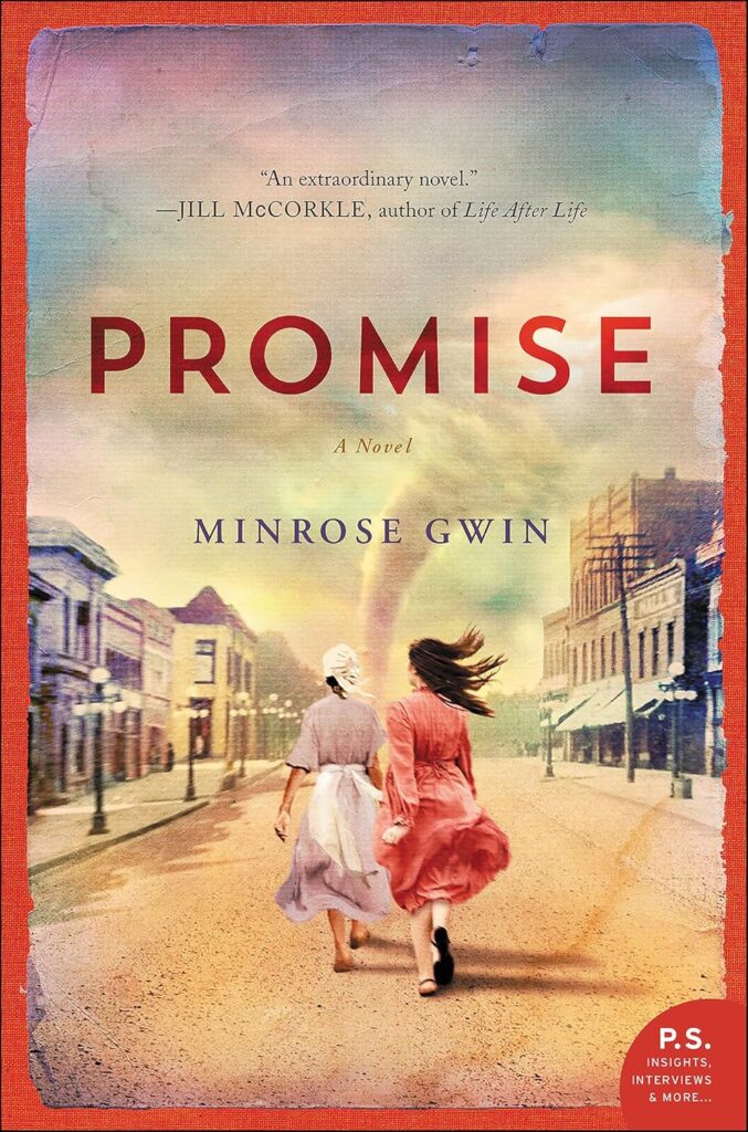 Promise book cover
