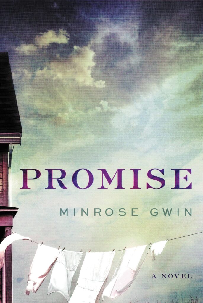 Promise by Minrose Gwin book cover