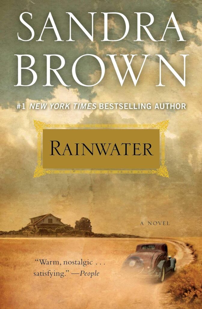 Rainwater book cover