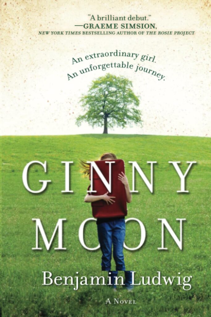 Ginny Moon book cover