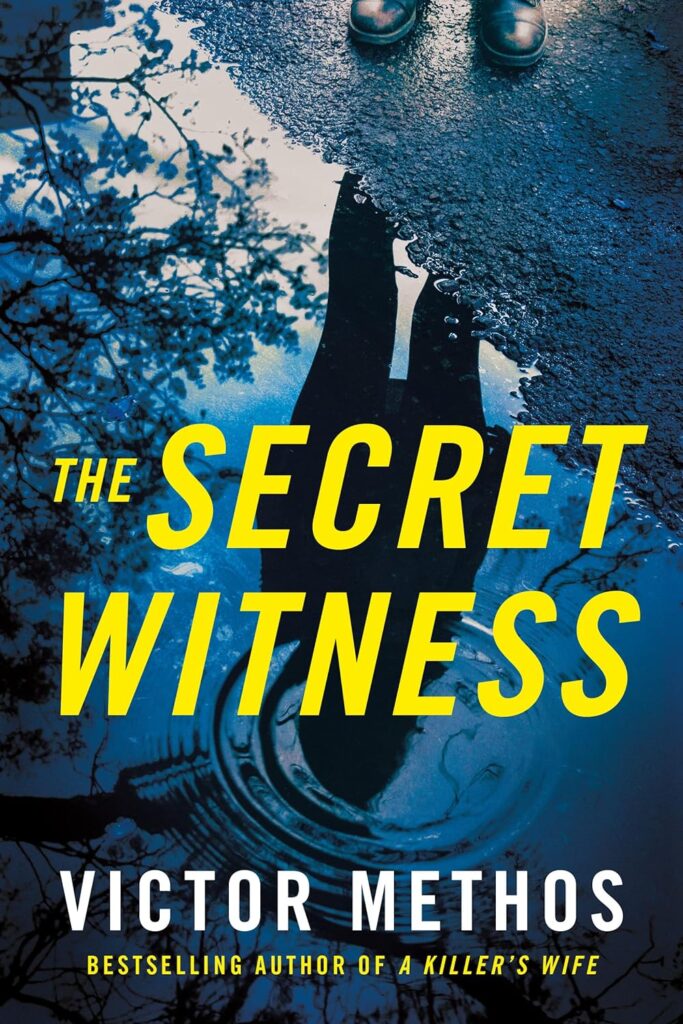 Secret Witness book cover