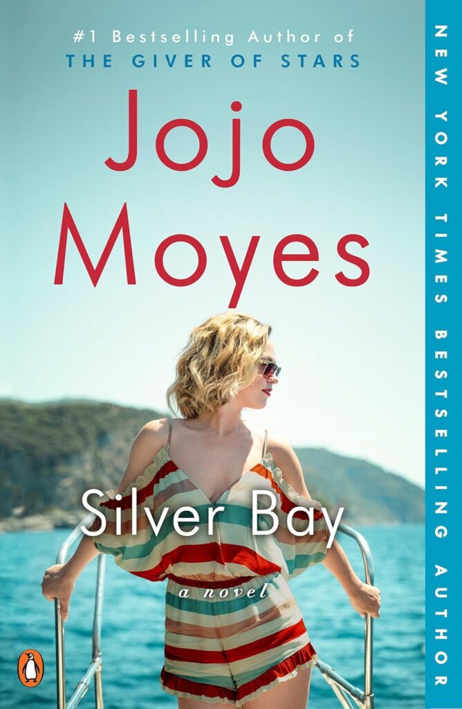 Silver Bay book cover