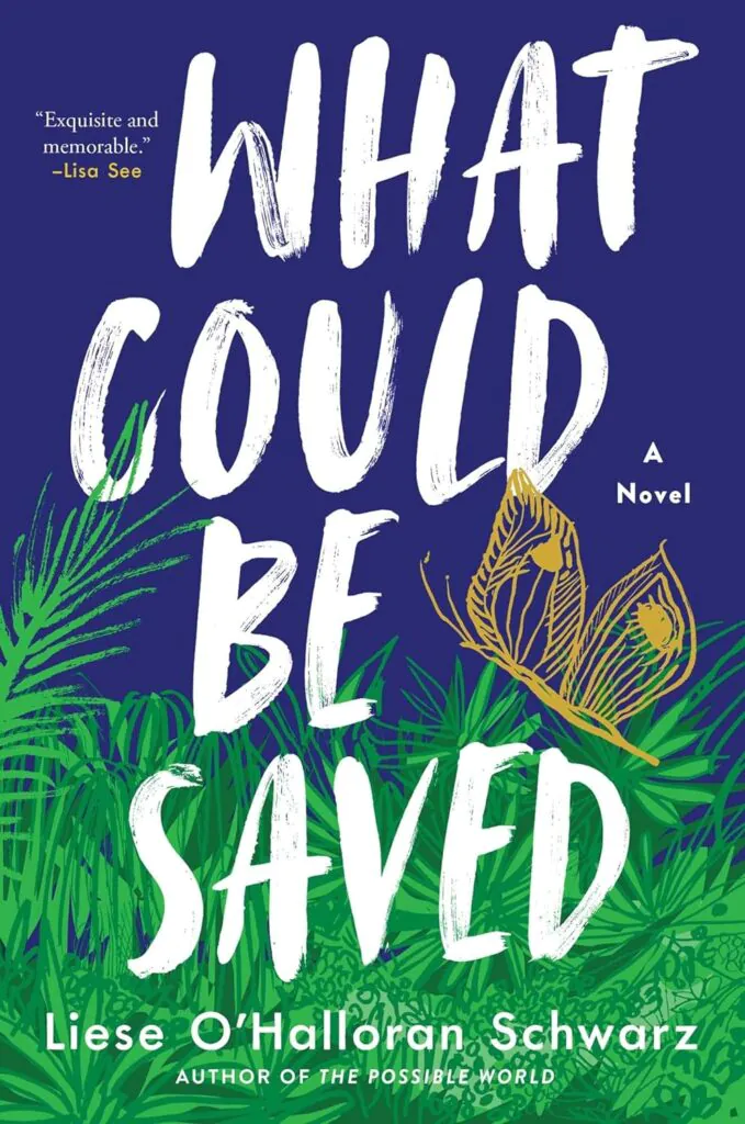 What Could Be Saved book cover