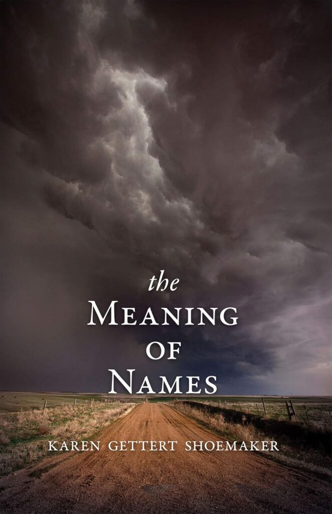 Meaning of Names book cover 