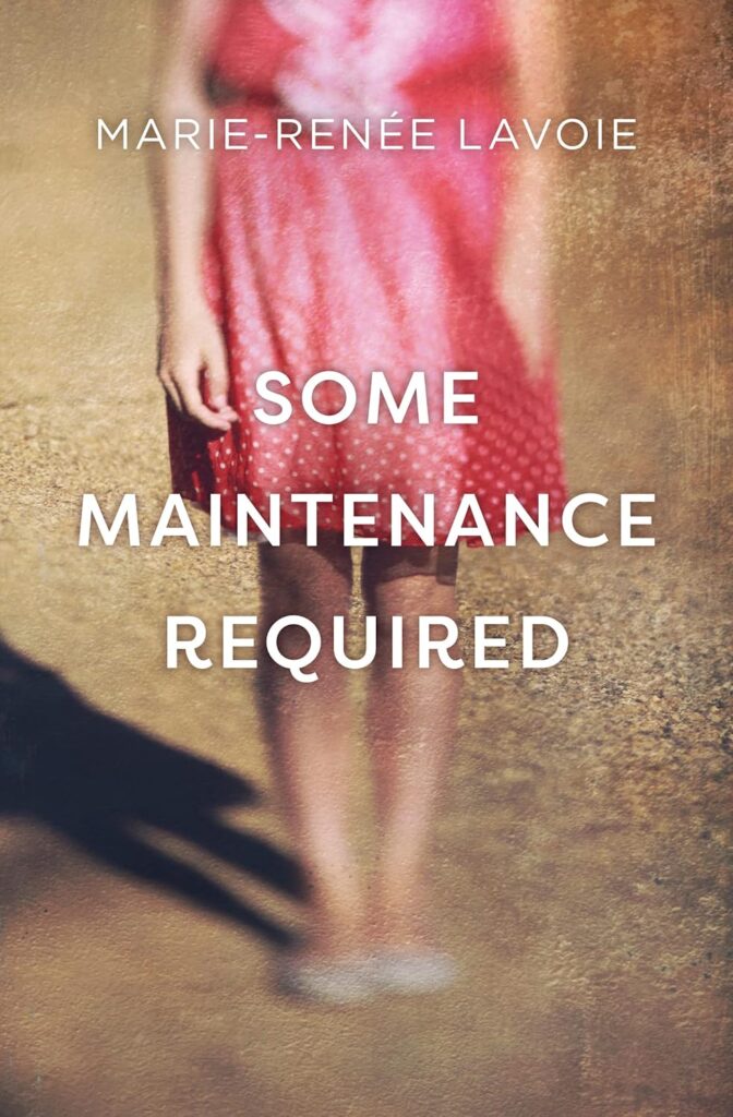 Some Maintenance Required book cover