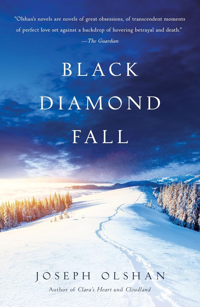 Black Diamond Fall book cover