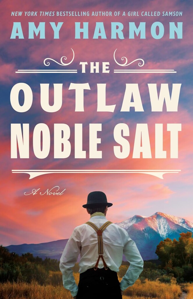 Outlaw Noble Salt book cover