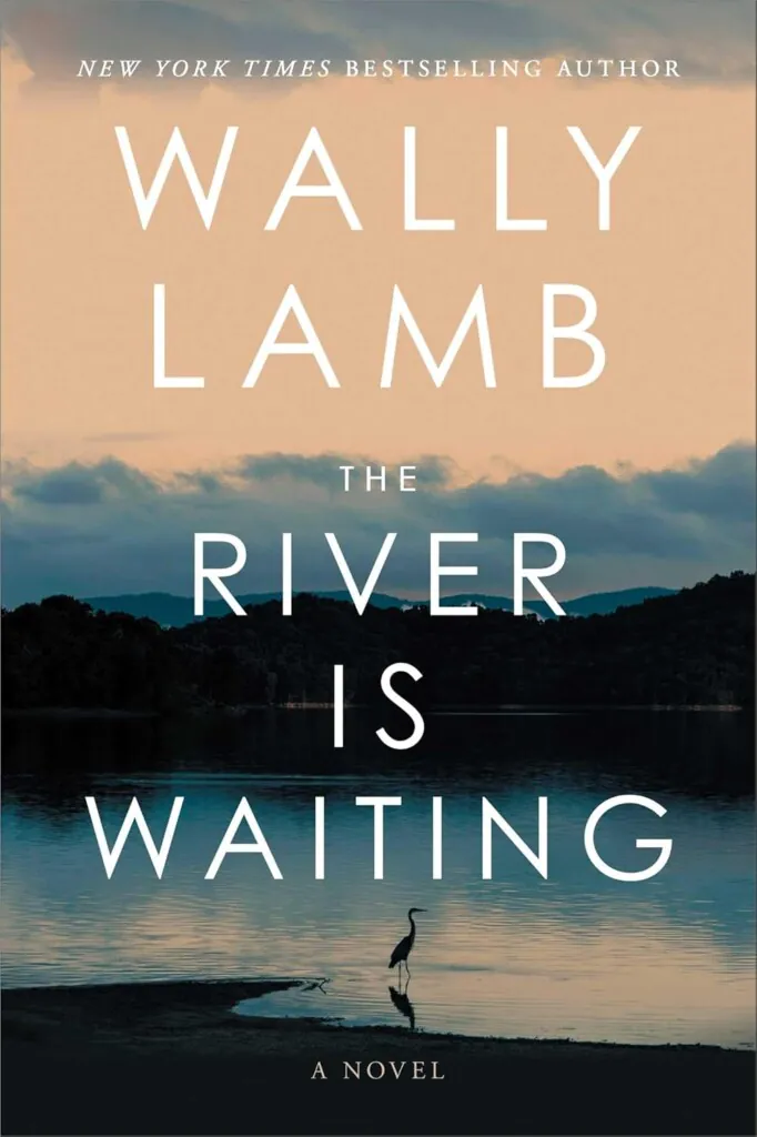 River Is Waiting book cover