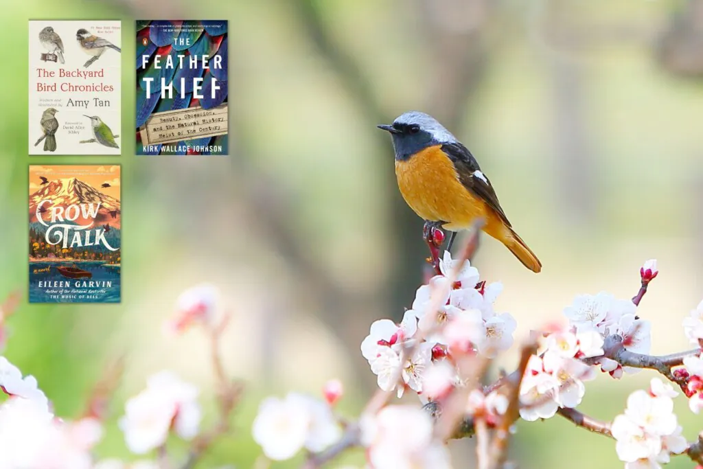 bird on blooming cherry blossom branch with 3 books overlaid