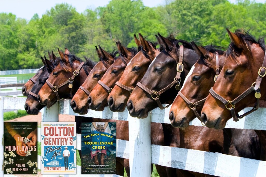 Row of horses at white fence