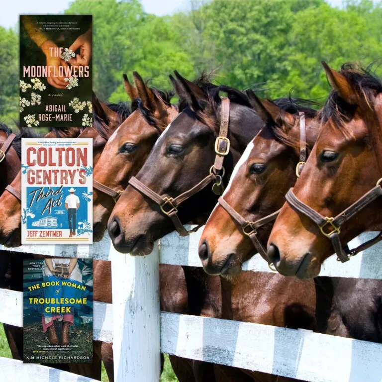 Row of horses at white fence