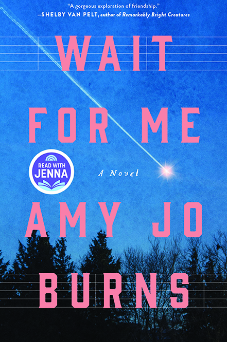 Wait for Me book cover