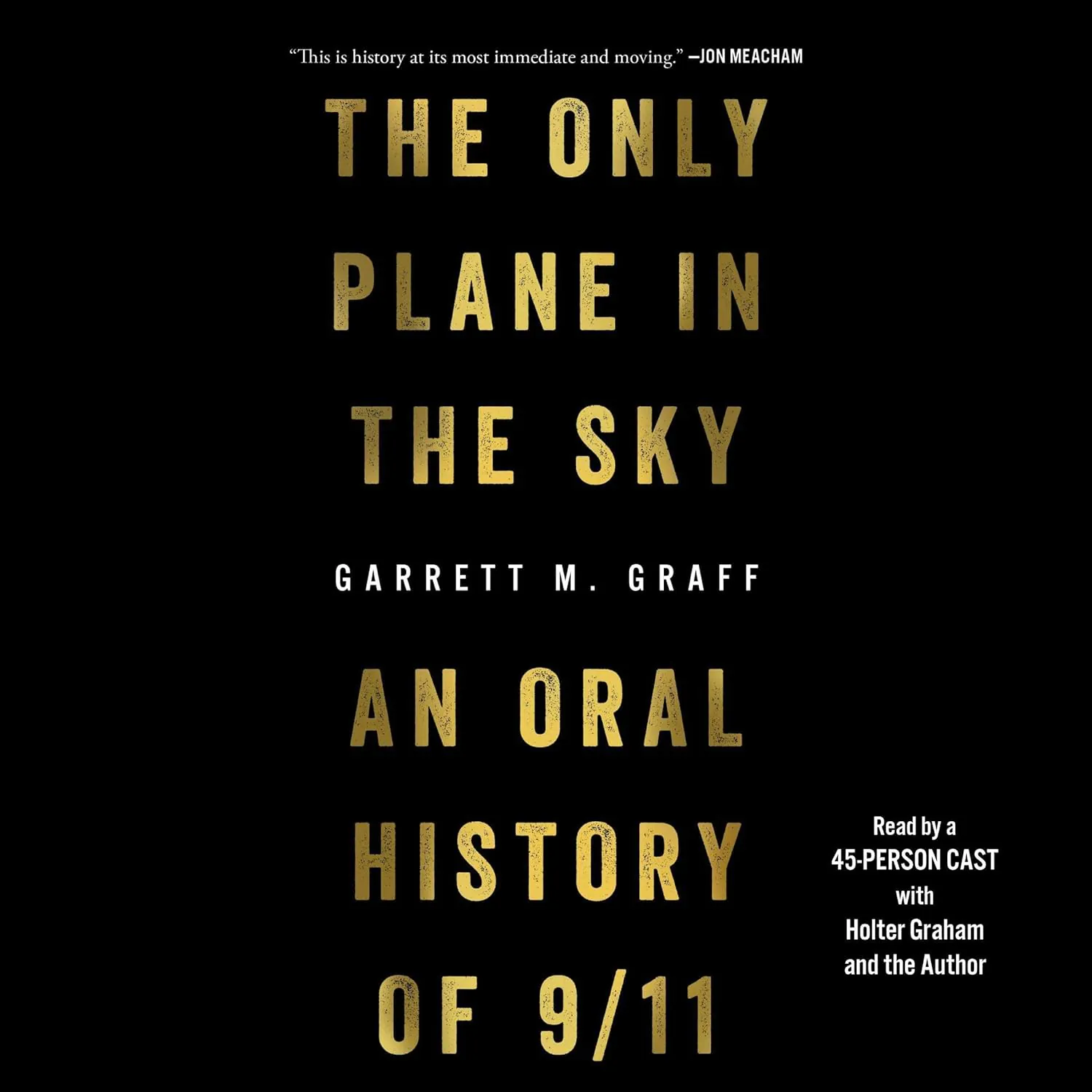 Only Plane in the Sky book cover