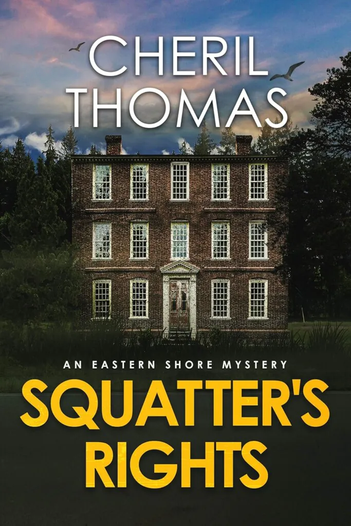 Squatter's Rights book cover