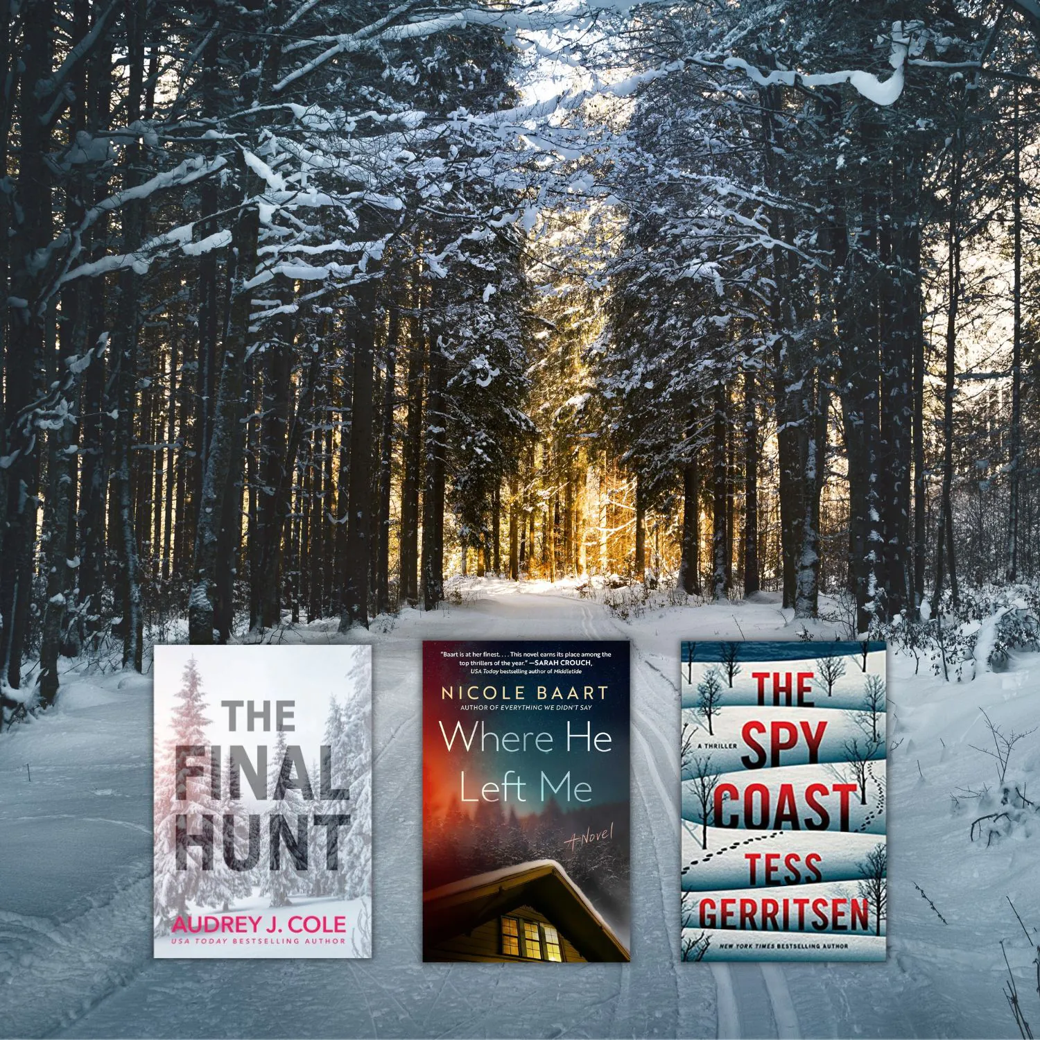 28 Chilling Winter Thriller Books
