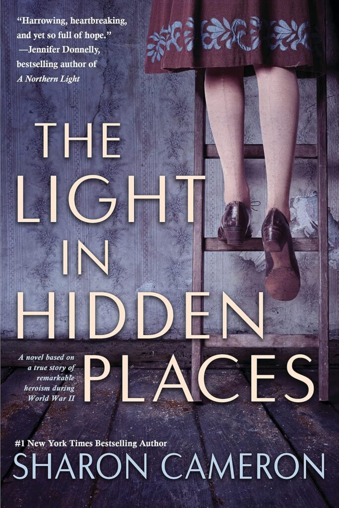 Light in Hidden Places book cover
