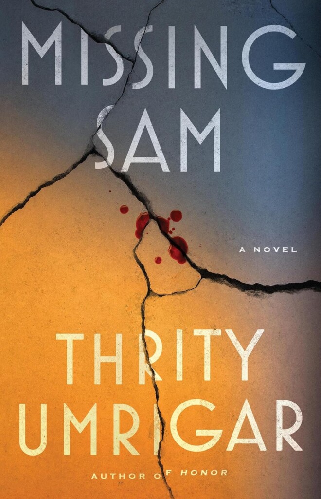 Missing Sam book cover