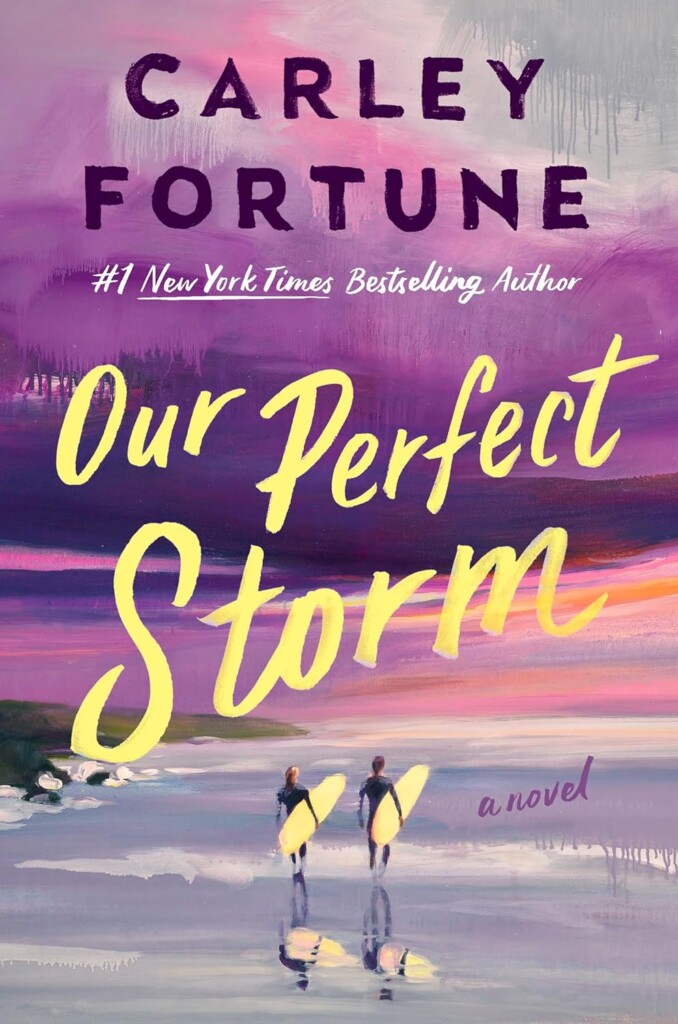 Our Perfect Storm book cover