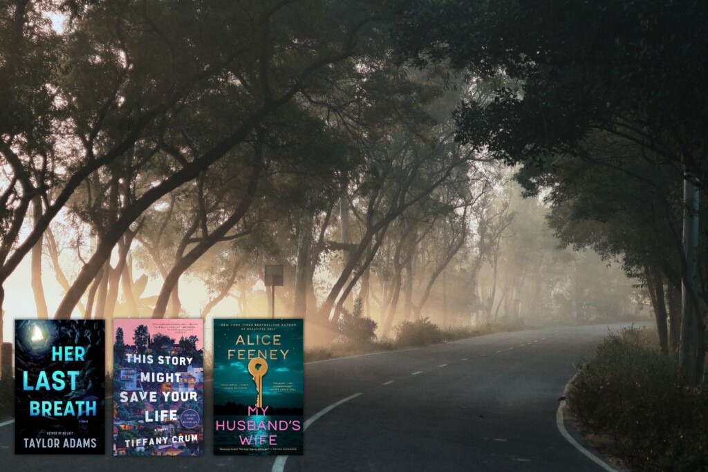 Foggy, tree covered curved road with three 2026 thriller book covers