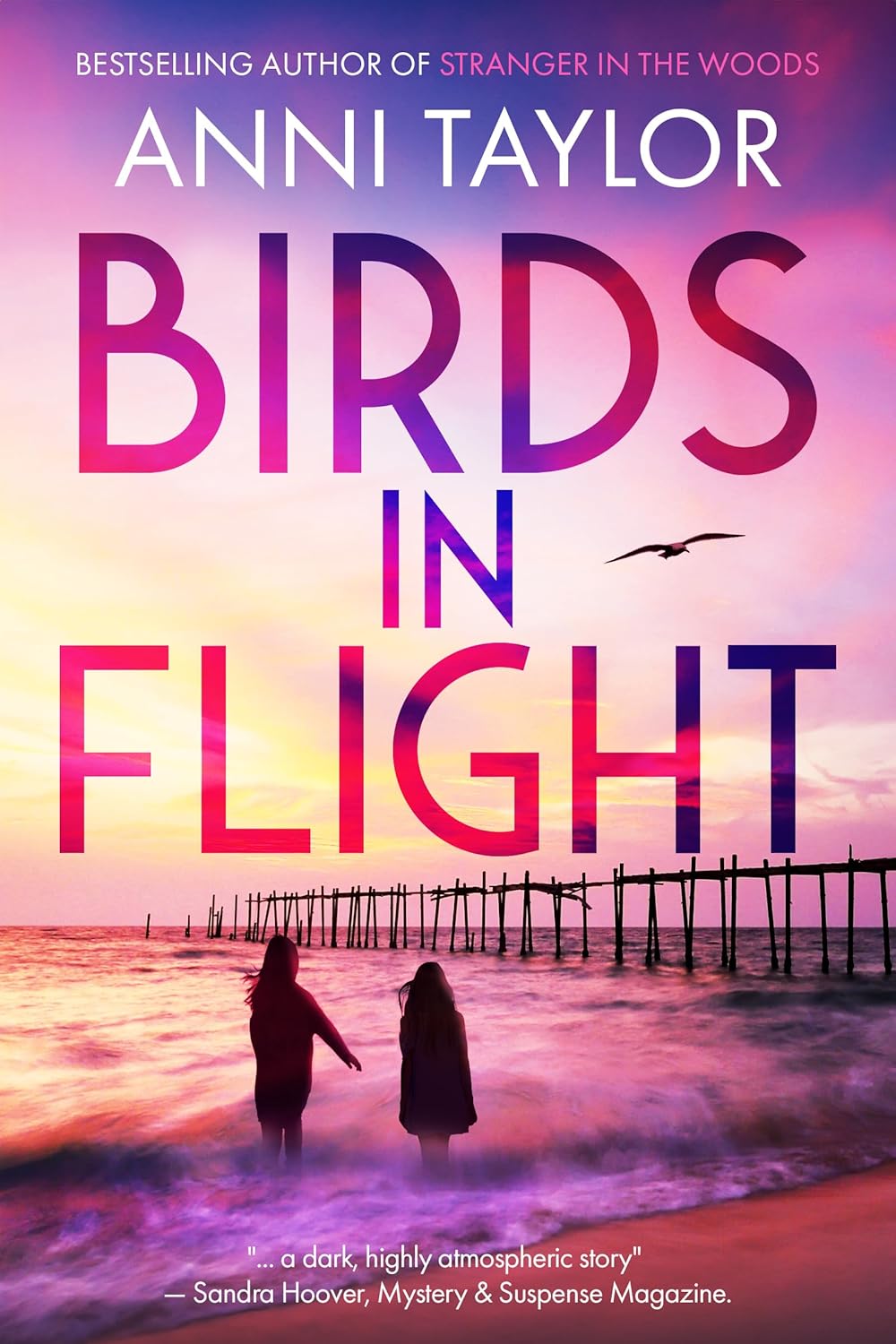 Birds in Flight book cover