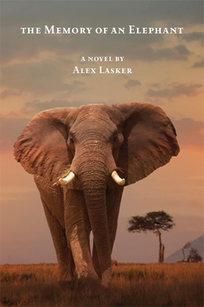 The Memory of an Elephant book cover