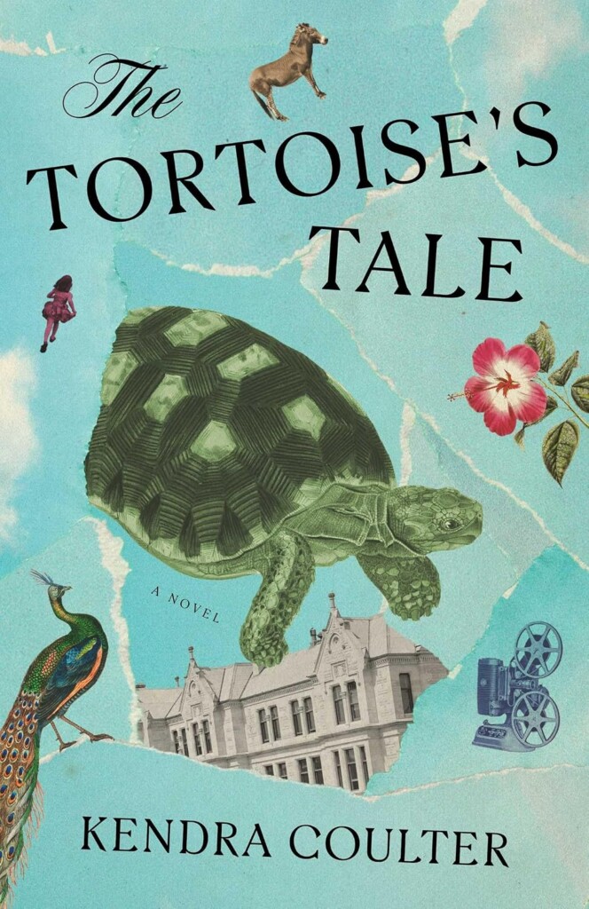 The Tortoises Tale book cover