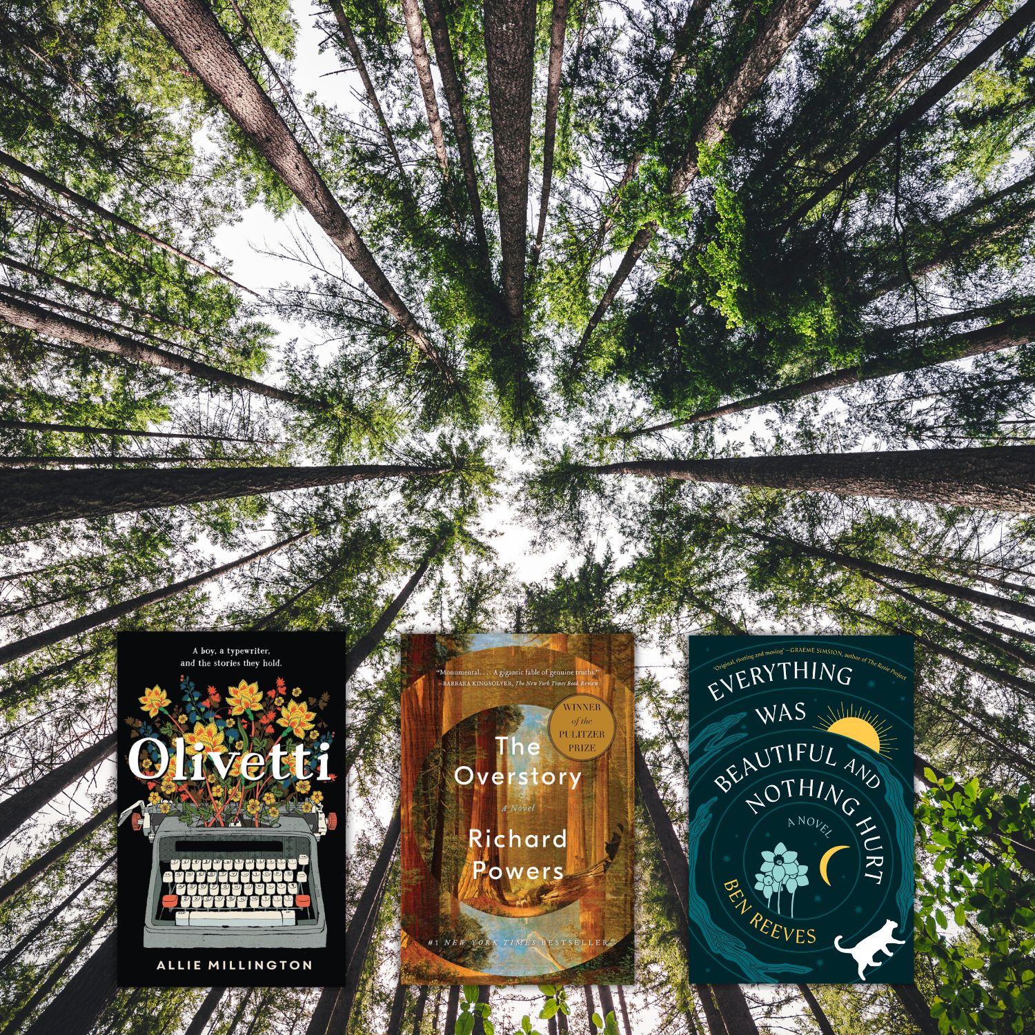 Novels Told From Unexpected Points of View