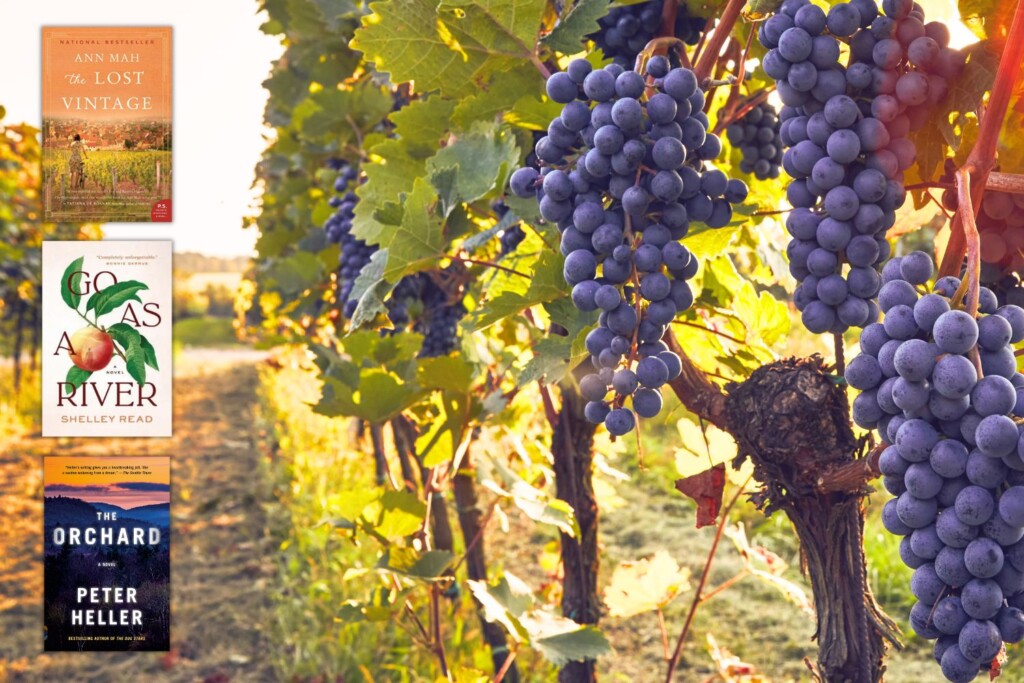 Grapes on vines with three books set in orchards or vineyards