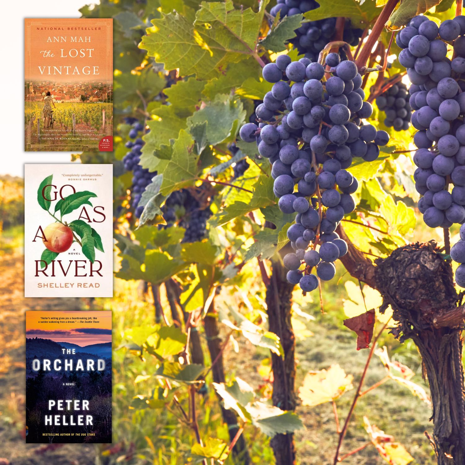 Books Set in Orchards or Vineyards