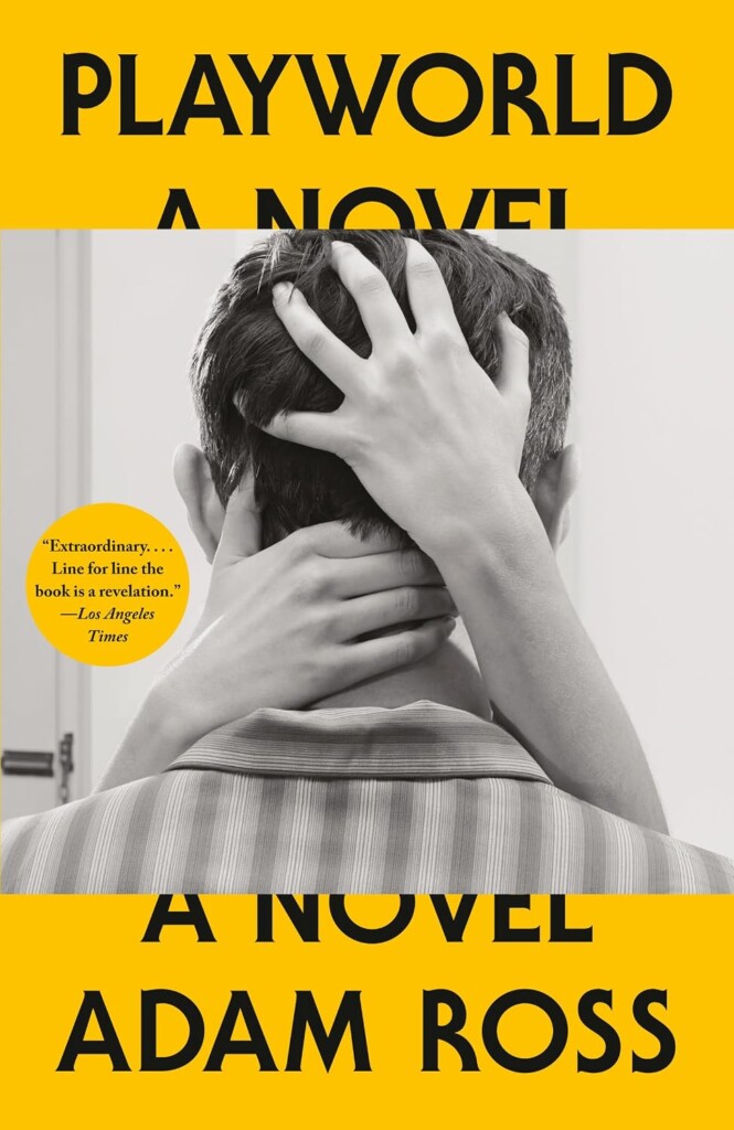 Playworld book cover