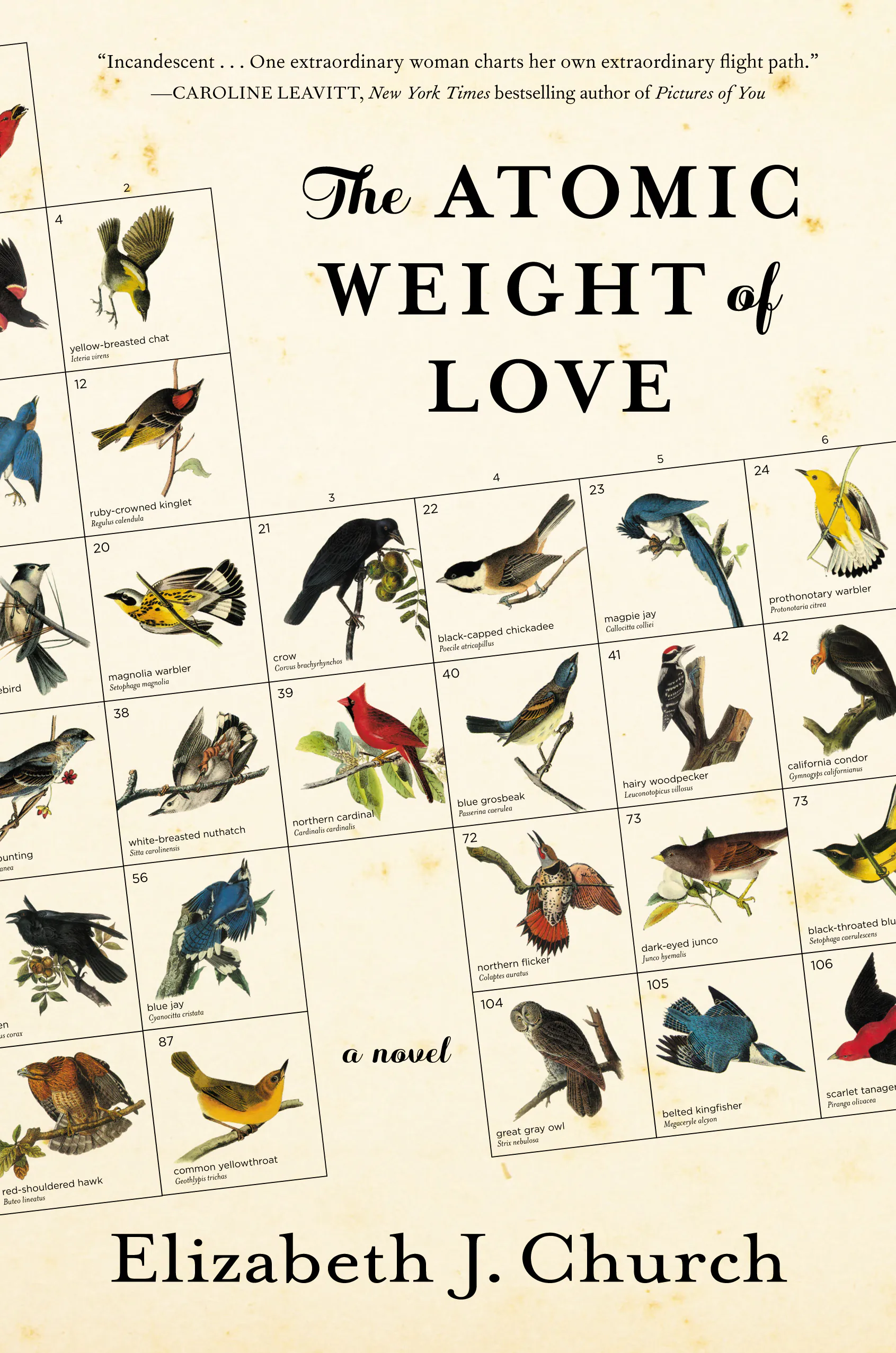 Atomic Weight of Love book cover