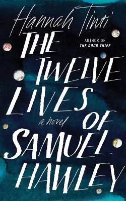 The Twelve Lives of Samuel Hawley Book Cover
