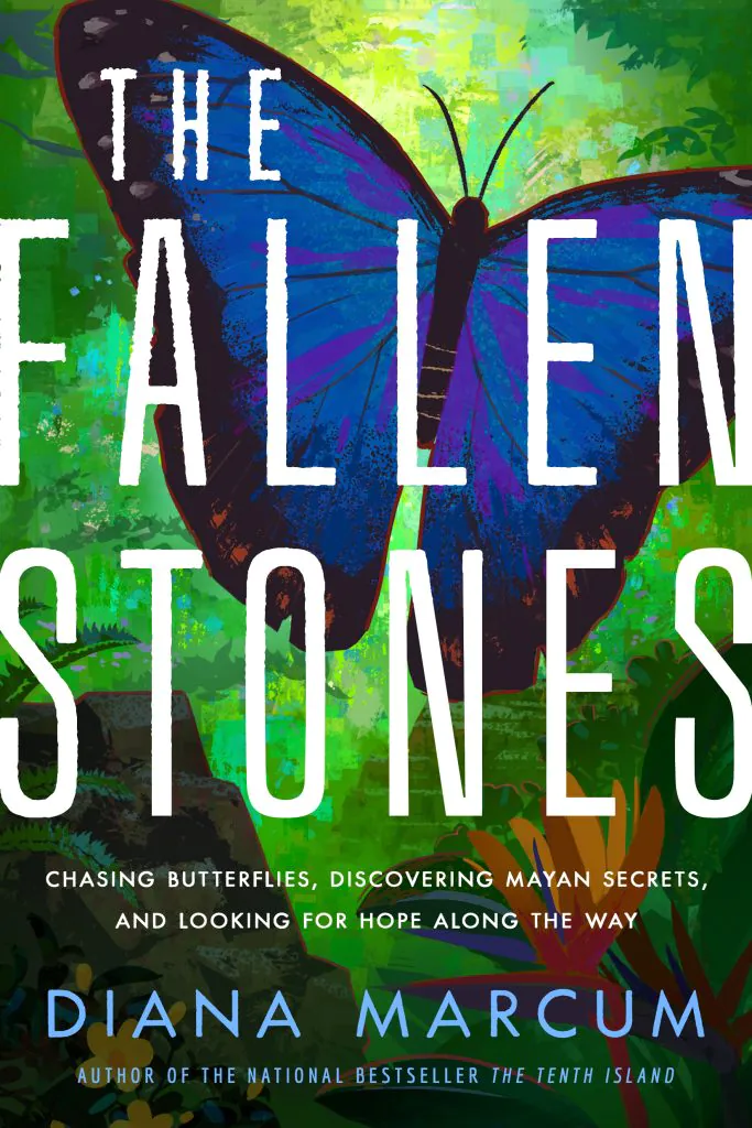 The Fallen Stones book cover