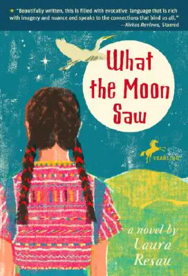 What the Moon Saw Book Cover